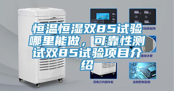 恒温恒湿双85试验哪里能做，可靠性测试双85试验项目介绍