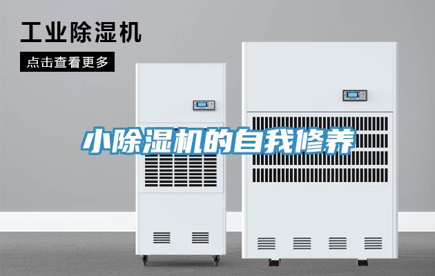 小MR.好色破解版的自我修养