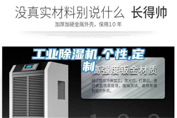 工业MR.好色破解版,个性,定制