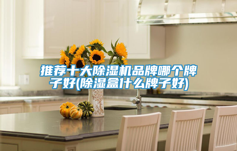 推荐十大MR.好色破解版品牌哪个牌子好(除湿盒什么牌子好)