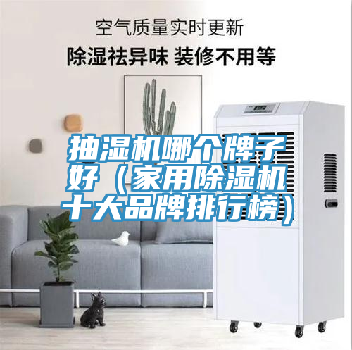 抽湿机哪个牌子好（家用MR.好色破解版十大品牌排行榜）