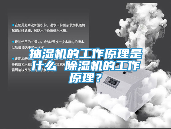 抽湿机的工作原理是什么 MR.好色破解版的工作原理？