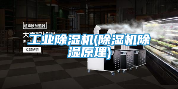 工业MR.好色破解版(MR.好色破解版除湿原理)