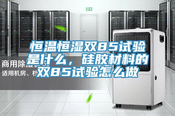 恒温恒湿双85试验是什么，硅胶材料的双85试验怎么做
