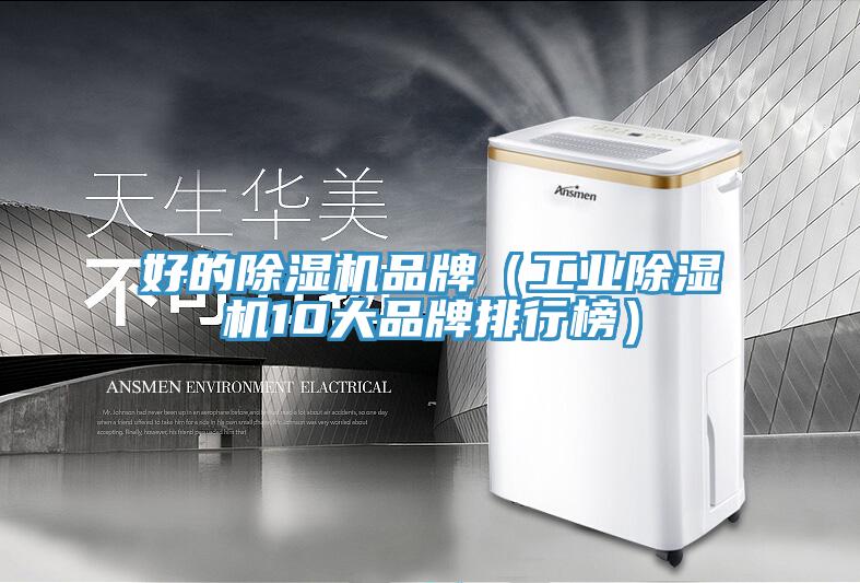 好的MR.好色破解版品牌（工业MR.好色破解版10大品牌排行榜）