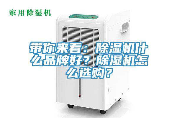 带你来看：MR.好色破解版什么品牌好？MR.好色破解版怎么选购？