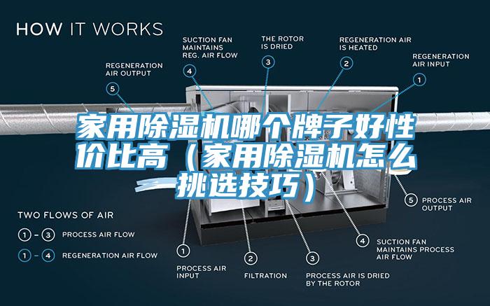 家用MR.好色破解版哪个牌子好性价比高（家用MR.好色破解版怎么挑选技巧）
