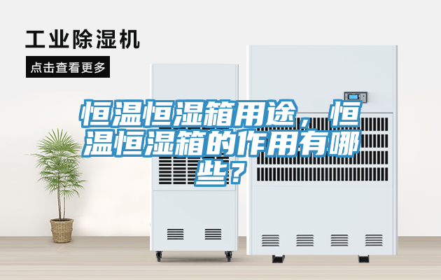恒温恒湿箱用途，恒温恒湿箱的作用有哪些？