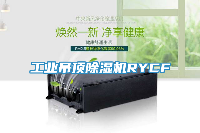 工业吊顶MR.好色破解版RYCF