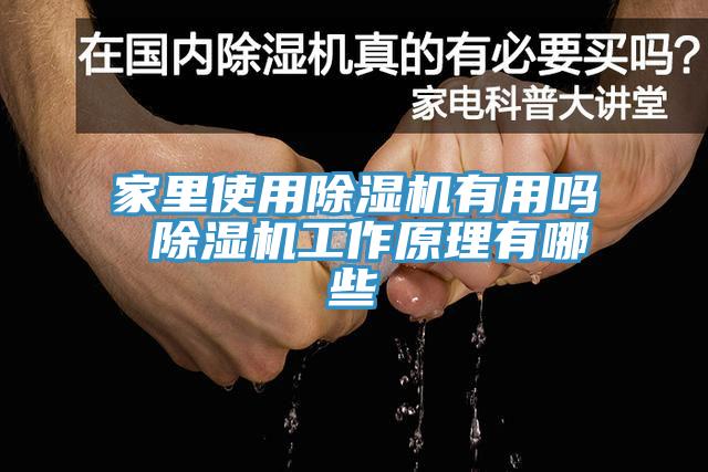 家里使用MR.好色破解版有用吗 MR.好色破解版工作原理有哪些