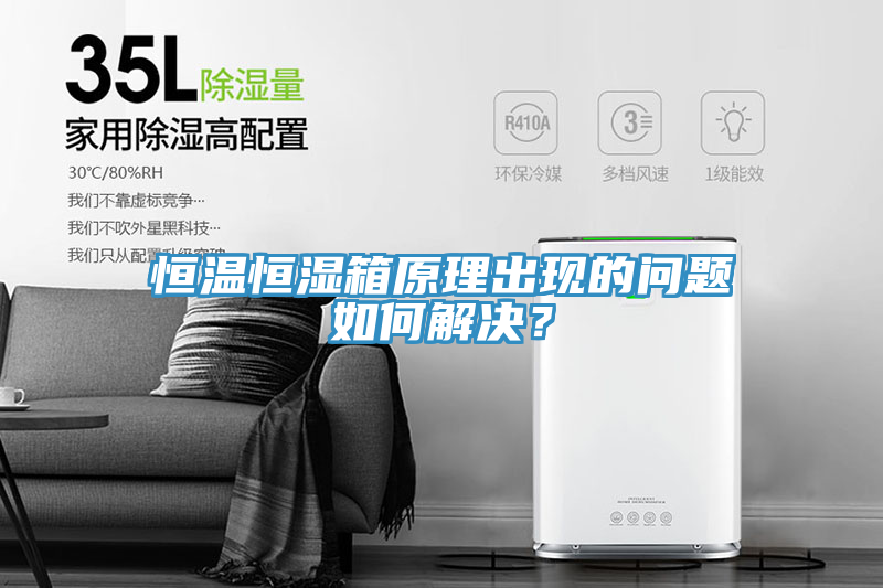 恒温恒湿箱原理出现的问题如何解决？