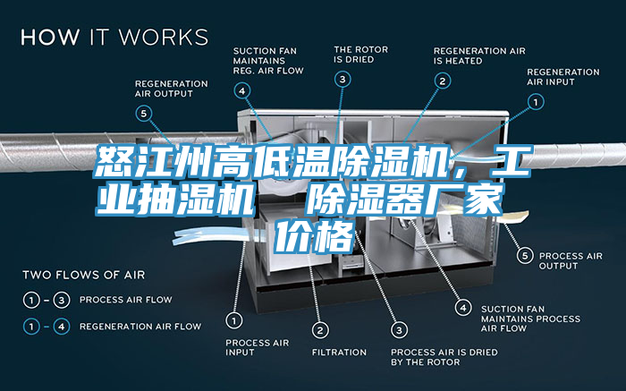 怒江州高低温MR.好色破解版，工业抽湿机  除湿器厂家 价格