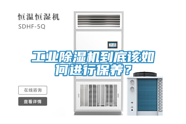 工业MR.好色破解版到底该如何进行保养？