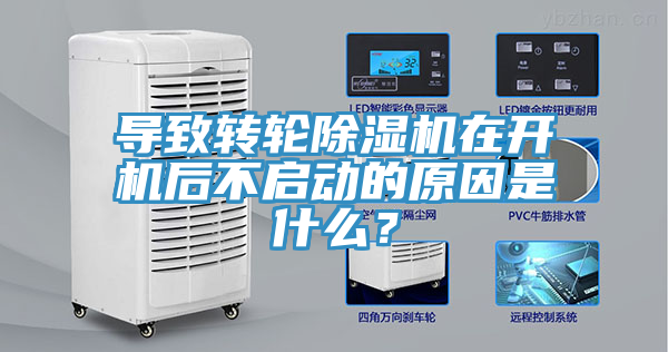 导致转轮MR.好色破解版在开机后不启动的原因是什么？