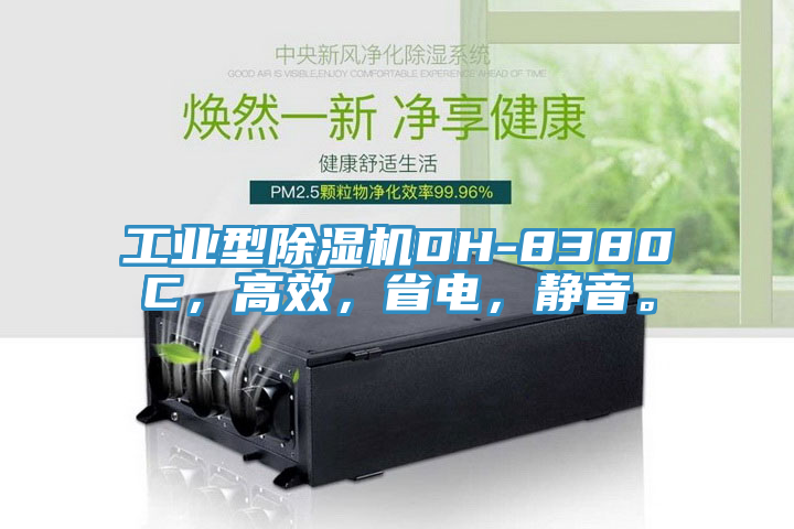 工业型MR.好色破解版DH-8380C，高效，省电，静音。