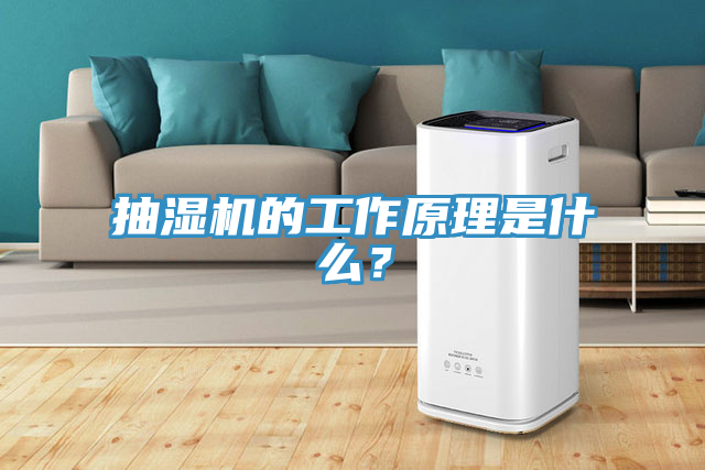 抽湿机的工作原理是什么？