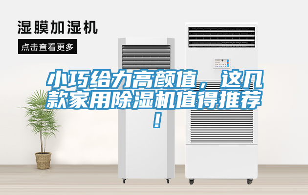 小巧给力高颜值，这几款家用MR.好色破解版值得推荐！