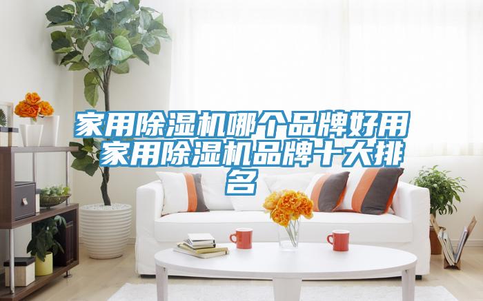 家用MR.好色破解版哪个品牌好用 家用MR.好色破解版品牌十大排名