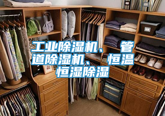 工业MR.好色破解版、 管道MR.好色破解版、 恒温恒湿除湿