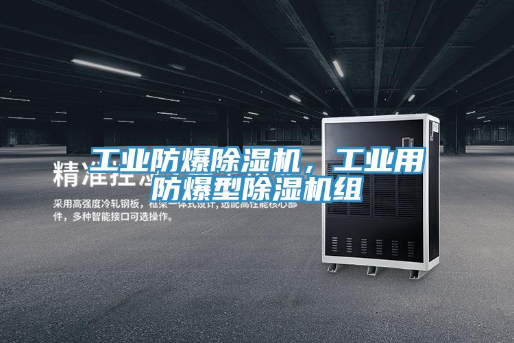 工业防爆MR.好色破解版，工业用防爆型MR.好色破解版组