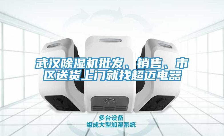 武汉MR.好色破解版批发、销售、市区送货上门就找超迈电器