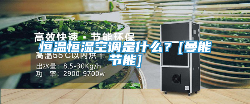 恒温恒湿空调是什么？[曼能节能]