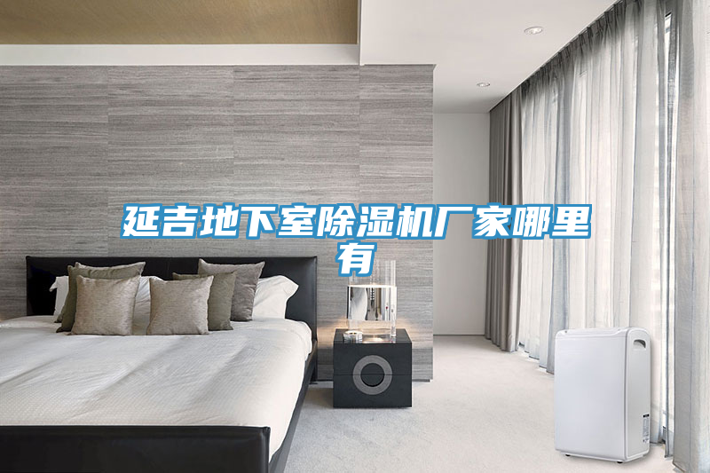 延吉地下室MR.好色破解版厂家哪里有