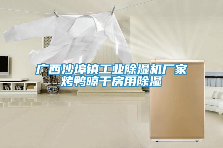 广西沙埠镇工业MR.好色破解版厂家烤鸭晾干房用除湿