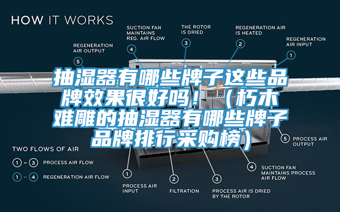 抽湿器有哪些牌子这些品牌效果很好吗！（朽木难雕的抽湿器有哪些牌子品牌排行采购榜）
