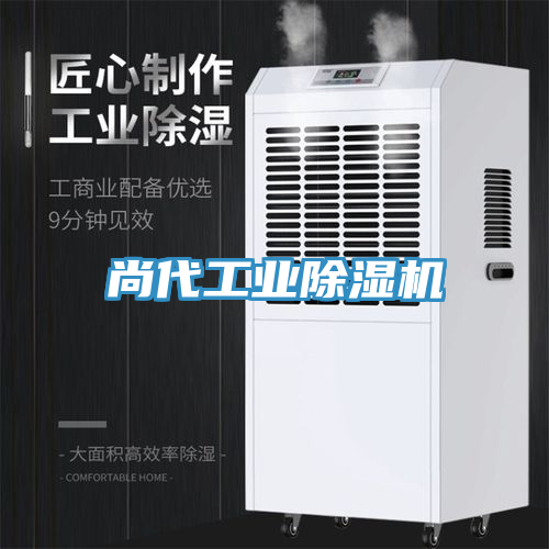 尚代工业MR.好色破解版