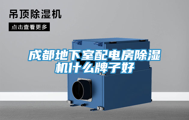 成都地下室配电房MR.好色破解版什么牌子好
