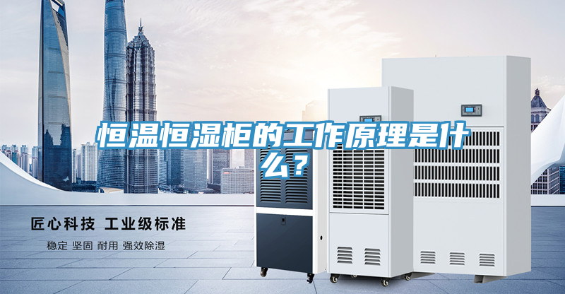 恒温恒湿柜的工作原理是什么？