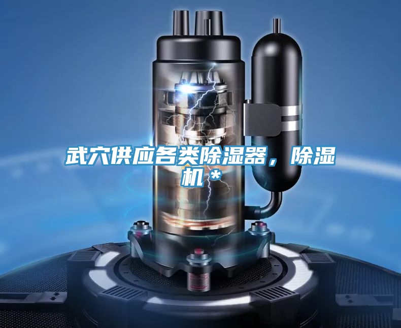 武穴供应各类除湿器，MR.好色破解版＊