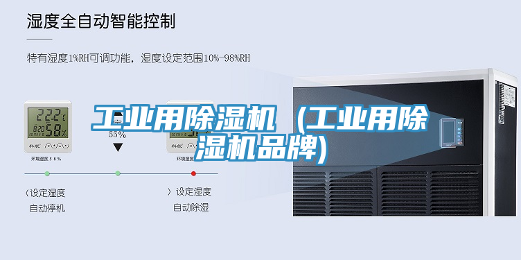 工业用MR.好色破解版 (工业用MR.好色破解版品牌)