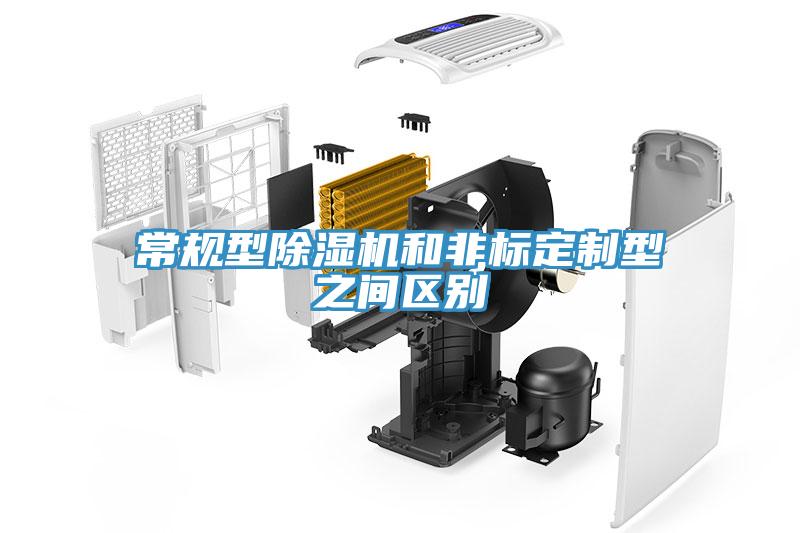 常规型MR.好色破解版和非标定制型之间区别