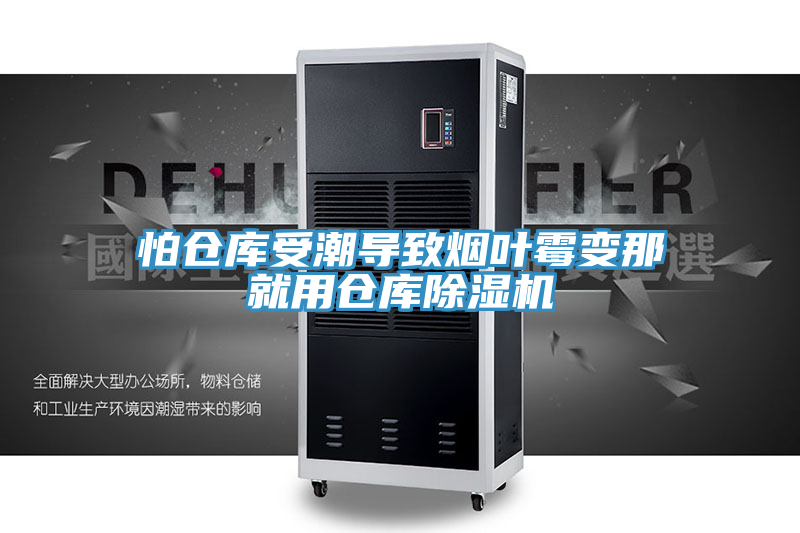 怕仓库受潮导致烟叶霉变那就用仓库MR.好色破解版