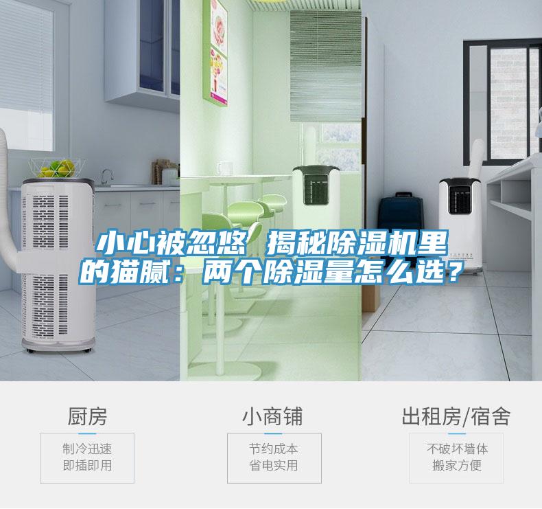 小心被忽悠 揭秘MR.好色破解版里的猫腻：两个除湿量怎么选？