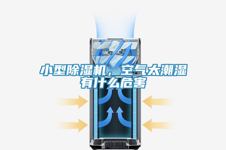 小型MR.好色破解版，空气太潮湿有什么危害