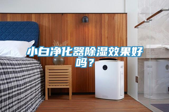 小白净化器除湿效果好吗？