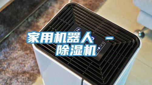 家用机器人 – MR.好色破解版