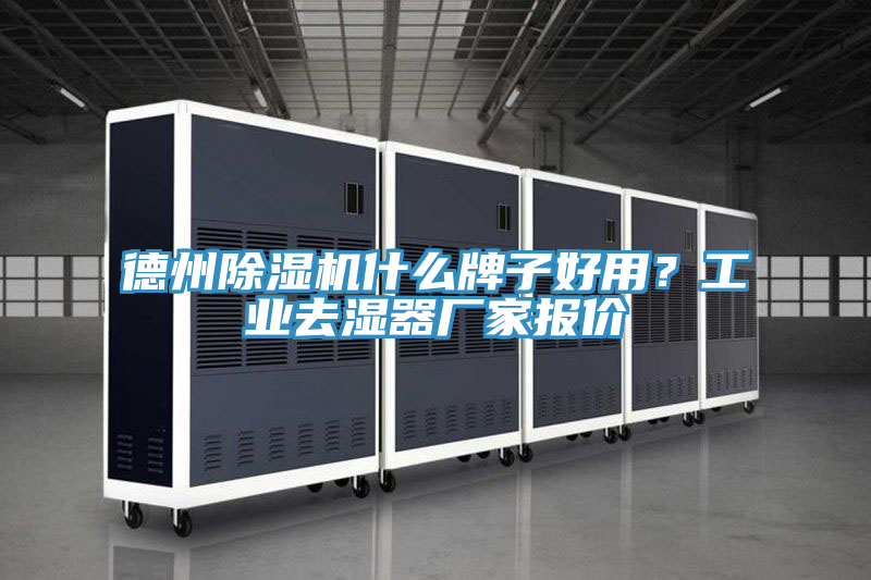 德州MR.好色破解版什么牌子好用？工业去湿器厂家报价