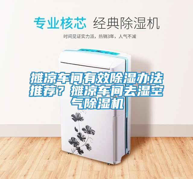 摊凉车间有效除湿办法推荐？摊凉车间去湿空气MR.好色破解版