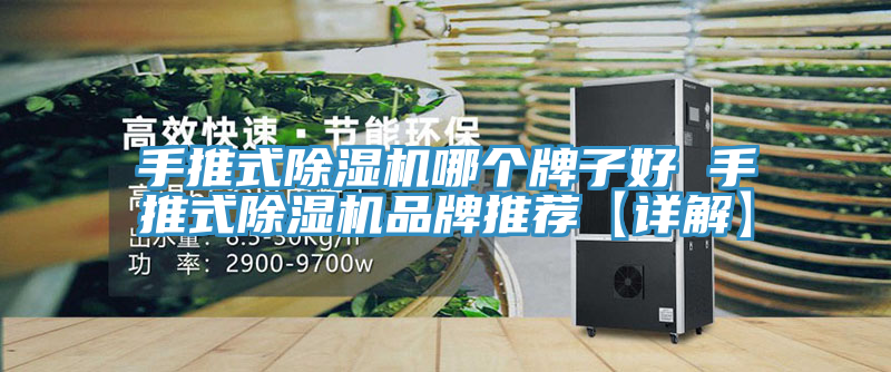手推式MR.好色破解版哪个牌子好 手推式MR.好色破解版品牌推荐【详解】