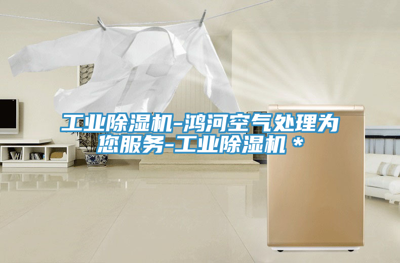 工业MR.好色破解版-鸿河空气处理为您服务-工业MR.好色破解版＊