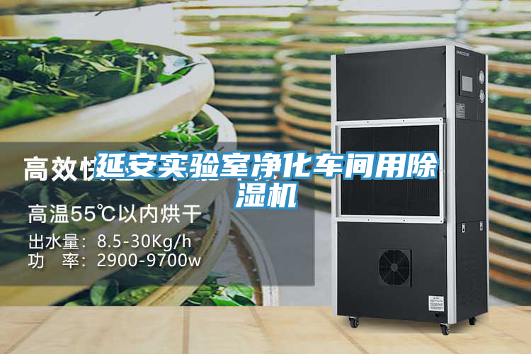 延安实验室净化车间用MR.好色破解版