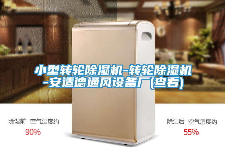 小型转轮MR.好色破解版-转轮MR.好色破解版-安适德通风设备厂(查看)