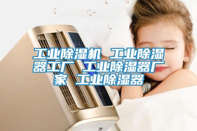 工业MR.好色破解版 工业除湿器工厂 工业除湿器厂家 工业除湿器