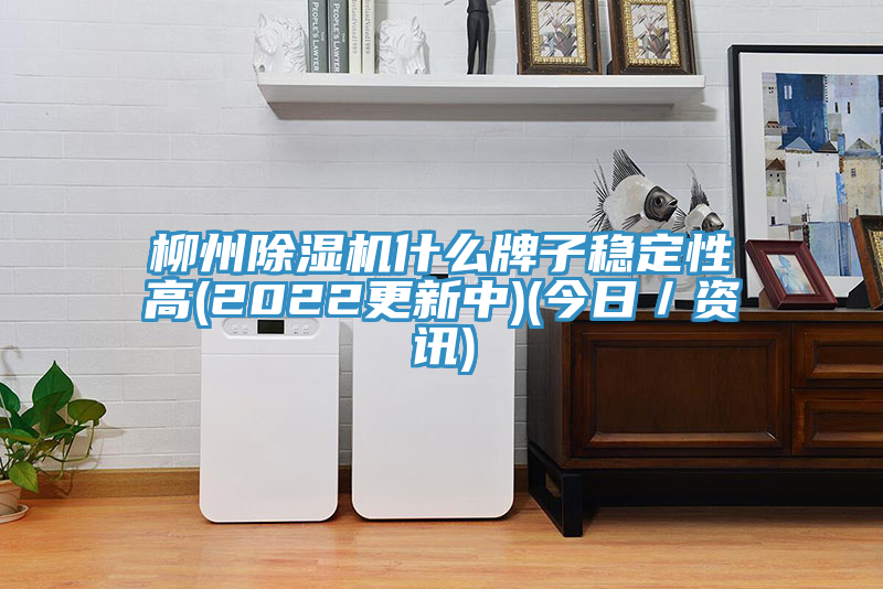 柳州MR.好色破解版什么牌子稳定性高(2022更新中)(今日／资讯)