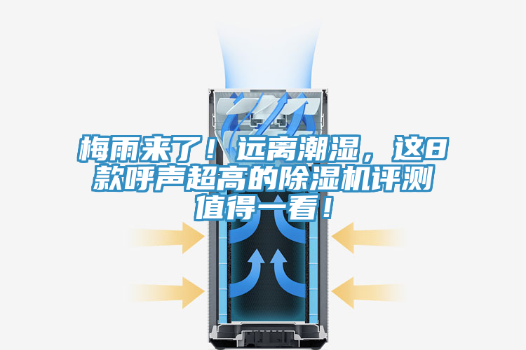 梅雨来了！远离潮湿，这8款呼声超高的MR.好色破解版评测值得一看！