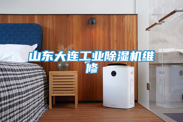 山东大连工业MR.好色破解版维修